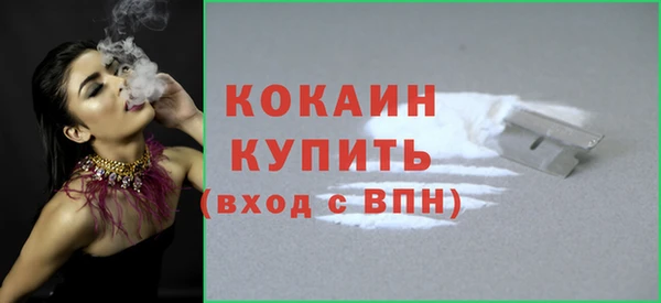 mdpv Вяземский