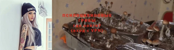 не бодяженный Волоколамск